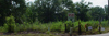 4th Street Property photo