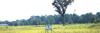 Kittrell Property photo